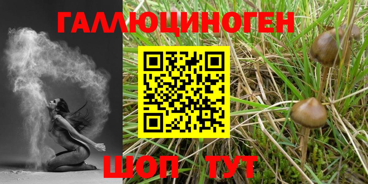 Галлюциногенные грибы MAGIC MUSHROOMS Владивосток